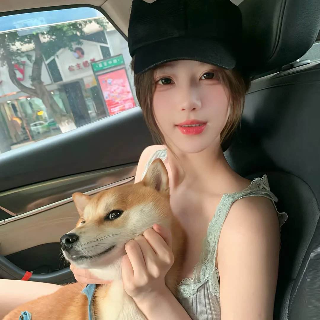内战圣伯纳犬